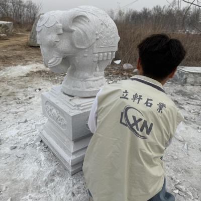 20260101 05 74